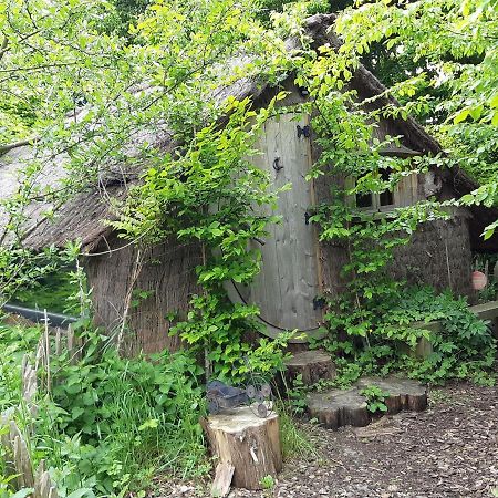 Cabane D'Augustin Saint-Augustin  Dış mekan fotoğraf