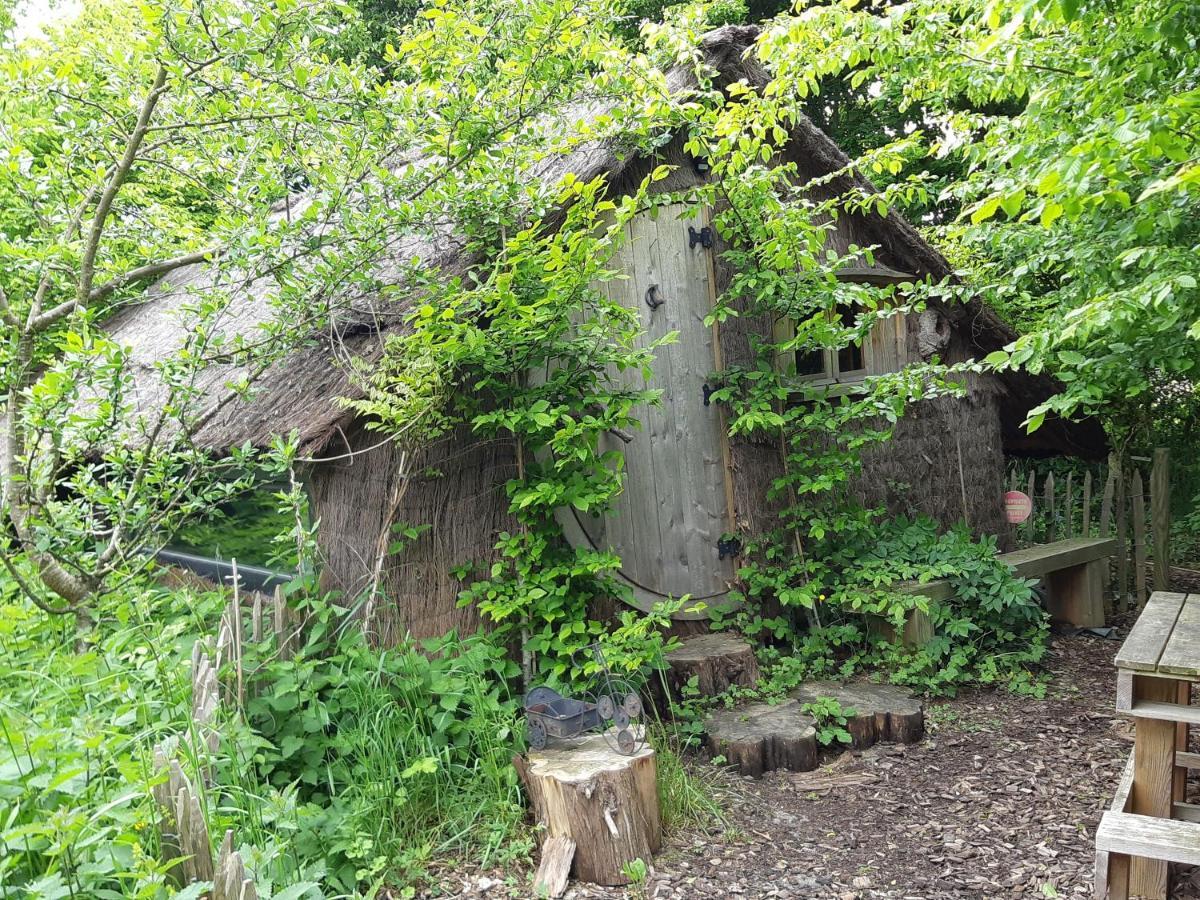 Cabane D'Augustin Saint-Augustin  Dış mekan fotoğraf